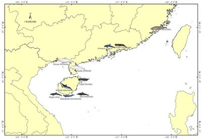 Taxonomic composition and functional potentials of gastrointestinal microbiota in 12 wild-stranded cetaceans